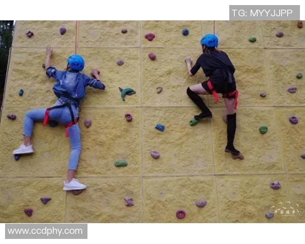 上海攀岩队的整体压制与攀岩深度的秘密探讨与分析