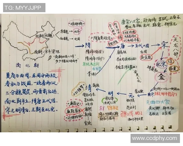 武汉乒乓球队的成长历程与奋斗精神的真实记录与反思